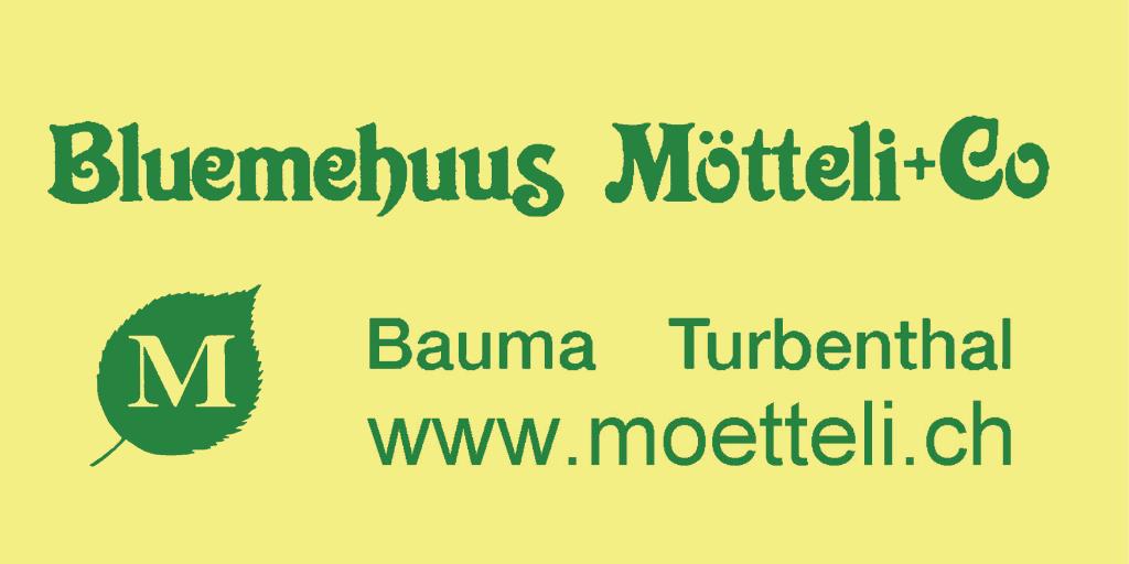 Bluemehuus Mötteli + Co.